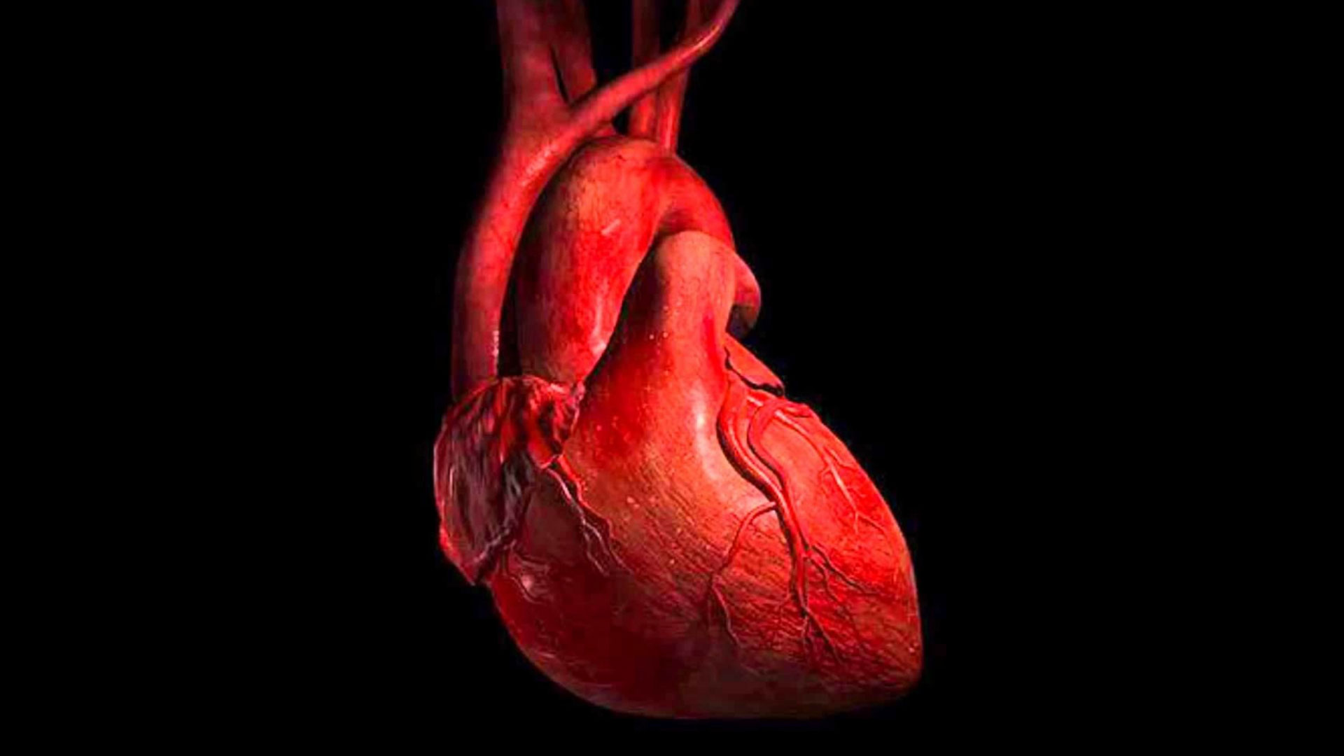 Cardiology