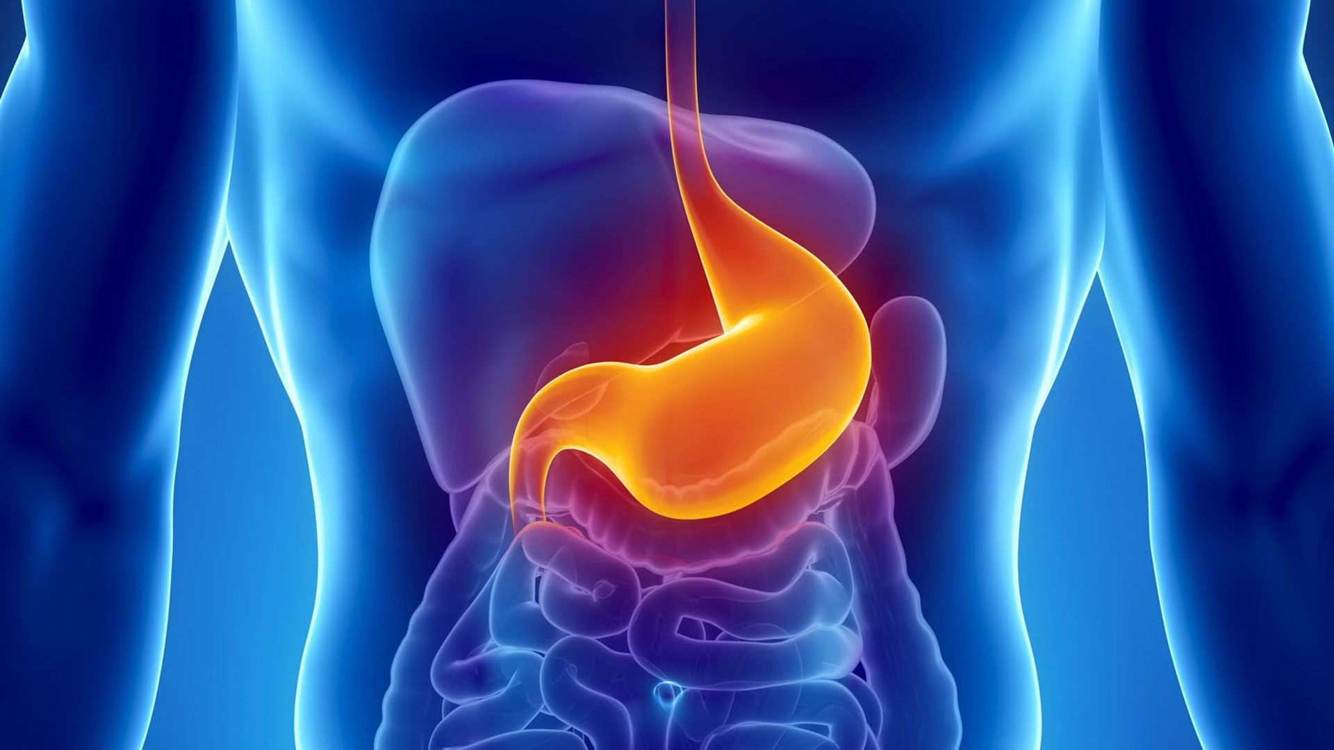 Gastroenterology